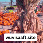 Nick's Garden Center